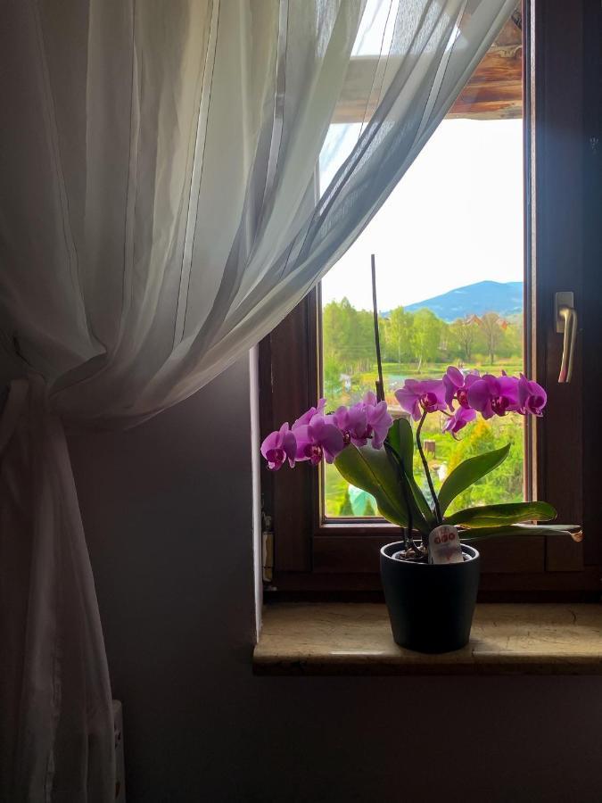 Apartamento Po Drodze Stronie Śląskie Exterior foto
